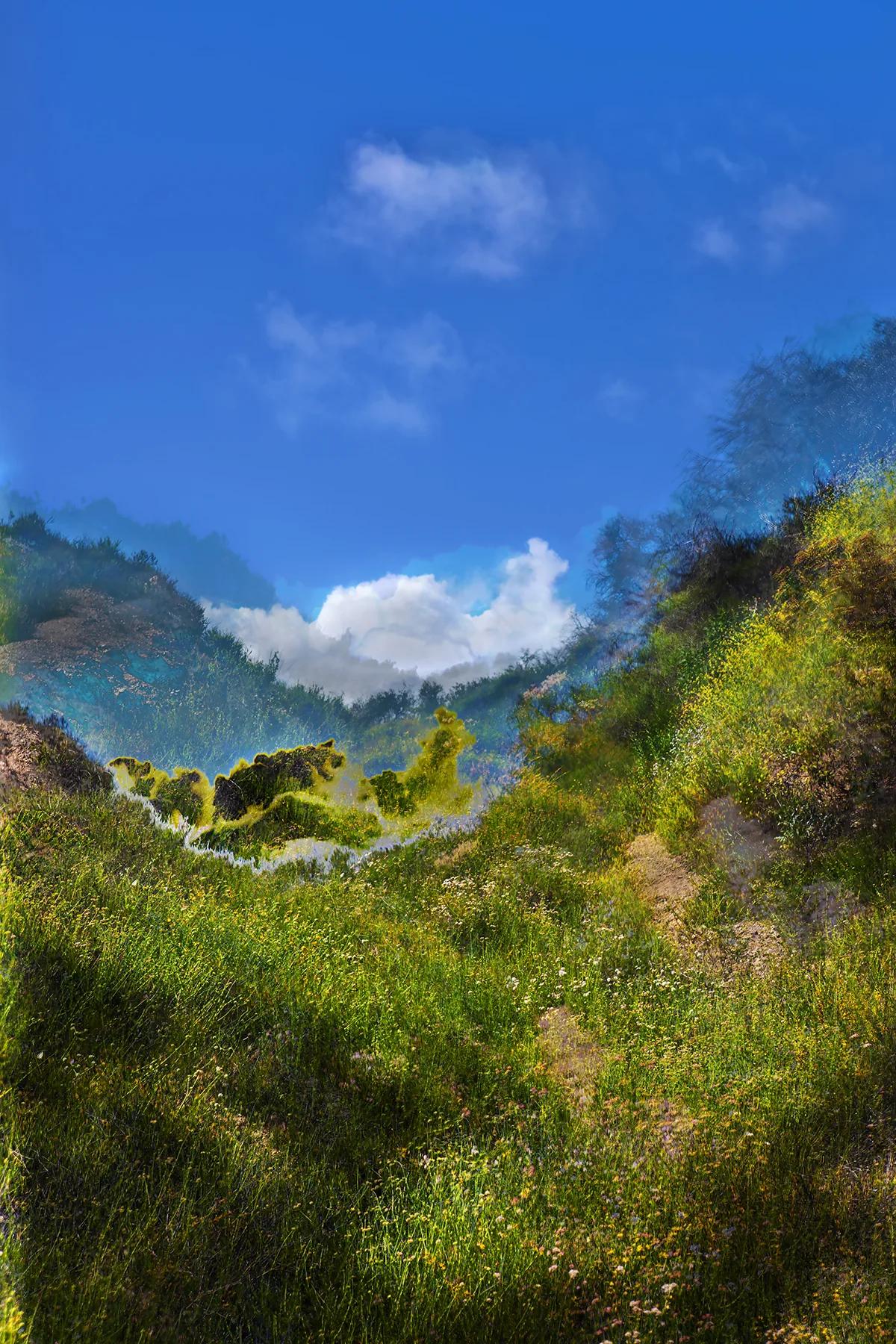 J PAXTON, Westridge Canyon 9006