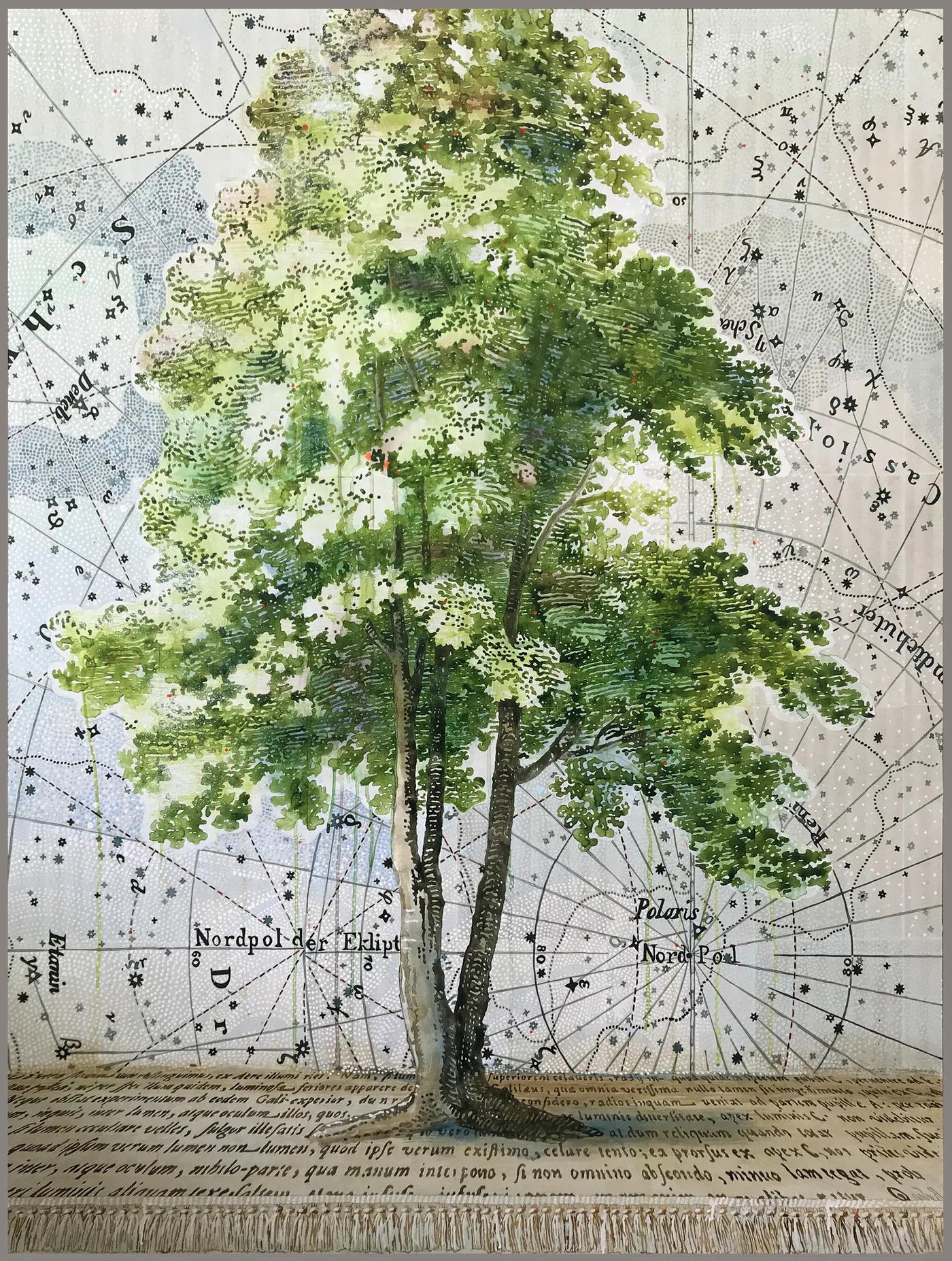 Renée BOTT, Finding Polaris