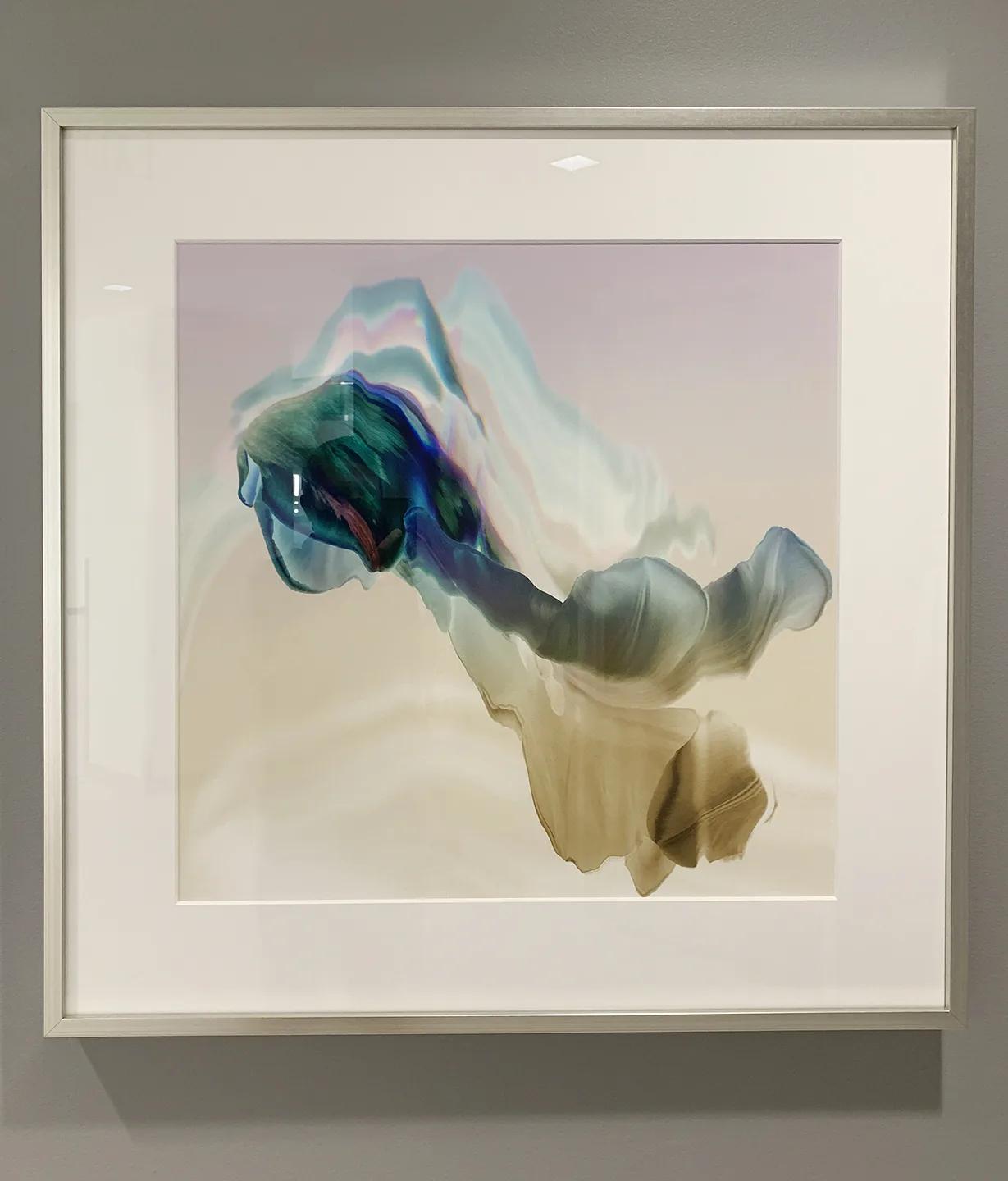 HCP Life Science — installation view
