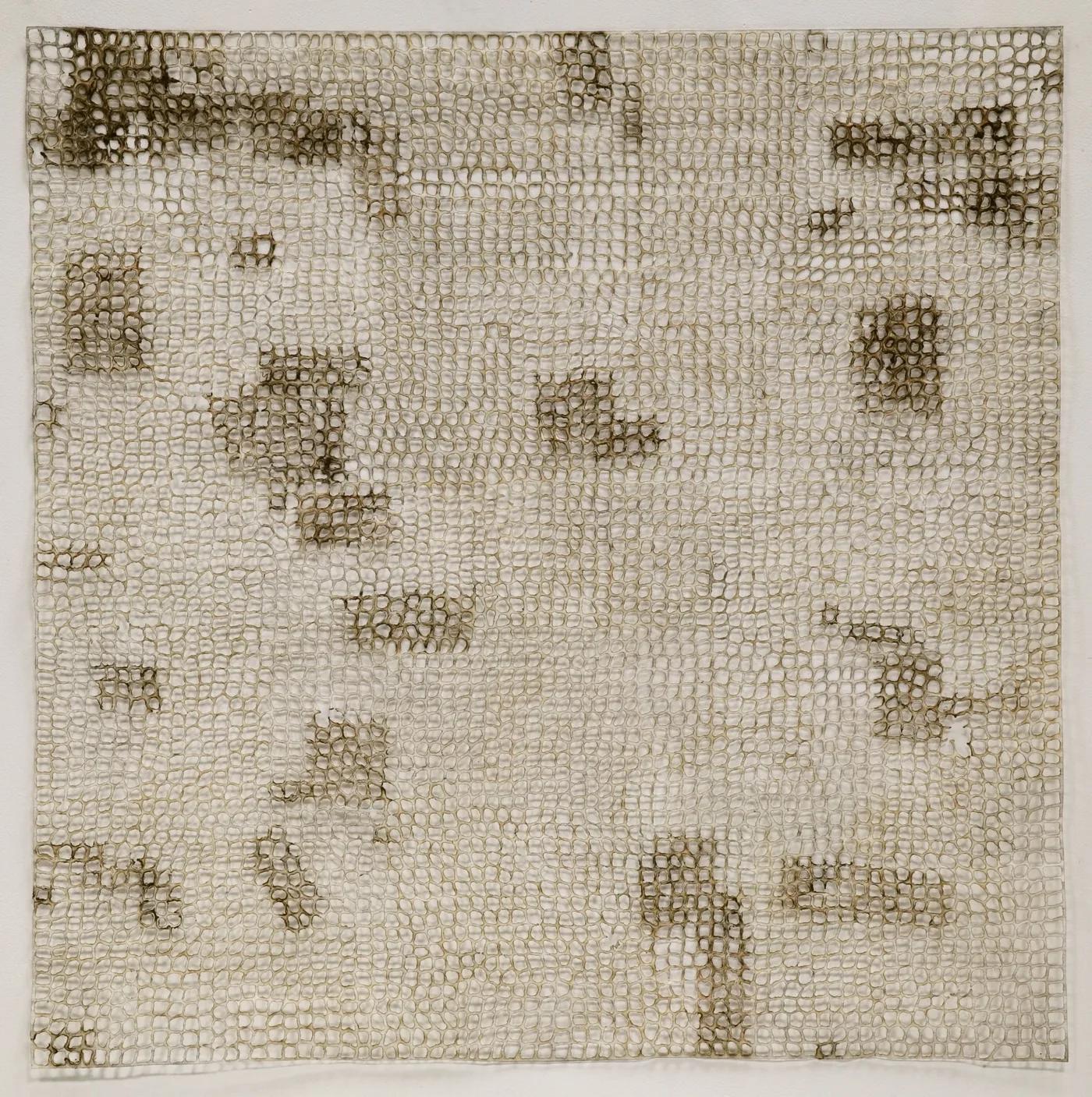 Jay McCAFFERTY, Natural Polarities #1
