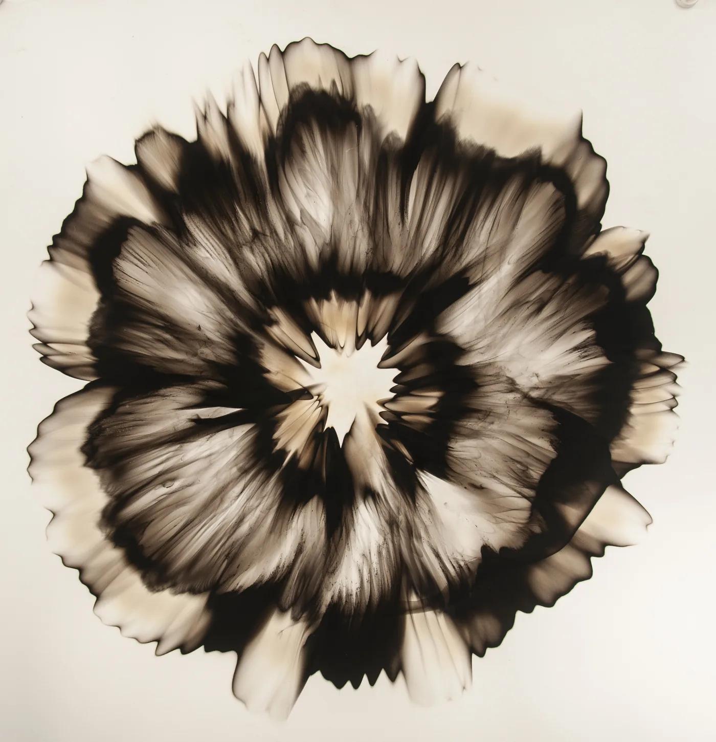 Dennis Lee MITCHELL, Untitled (46.8)