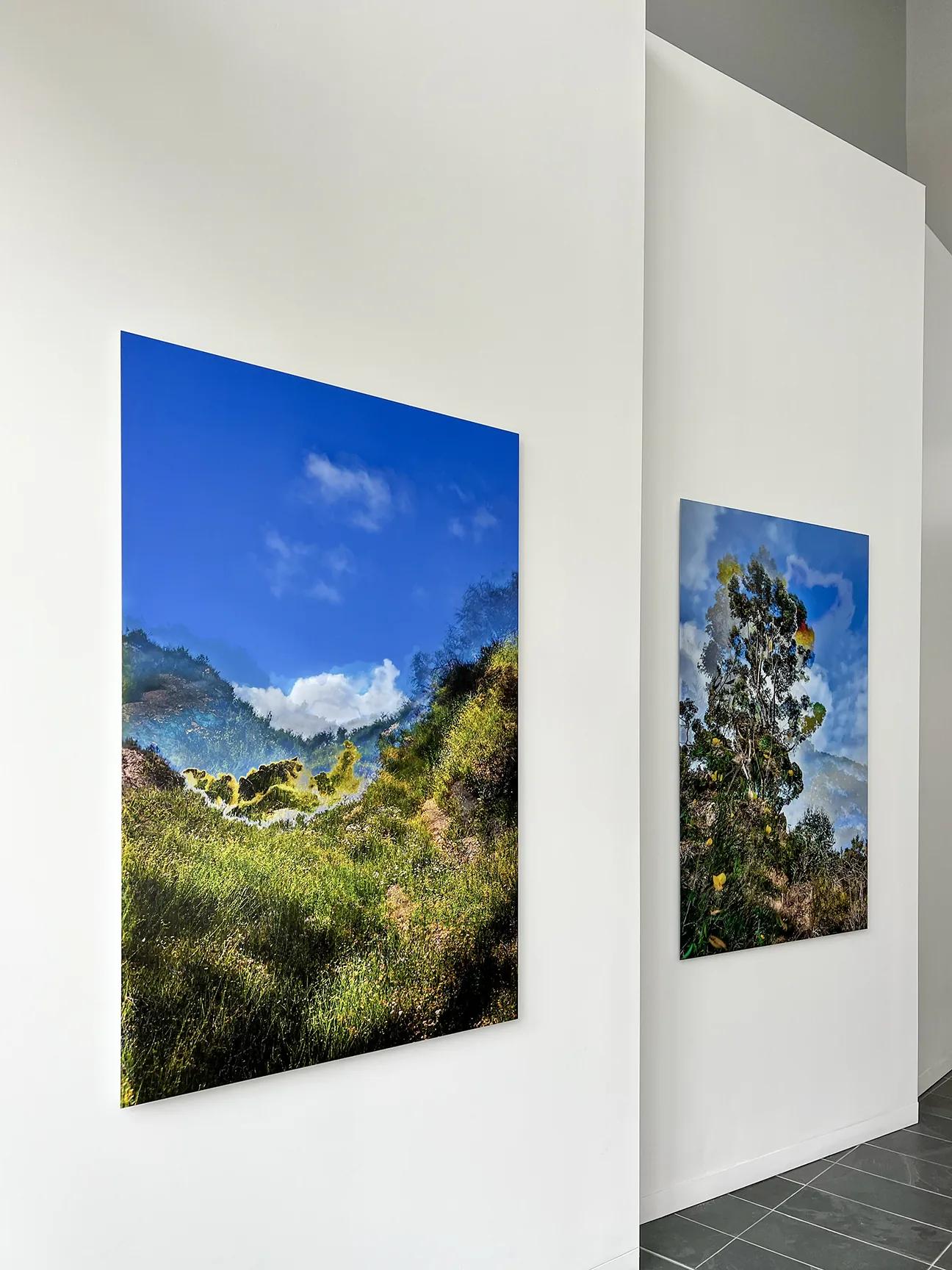 LeBeau Realty & Associates — installation view