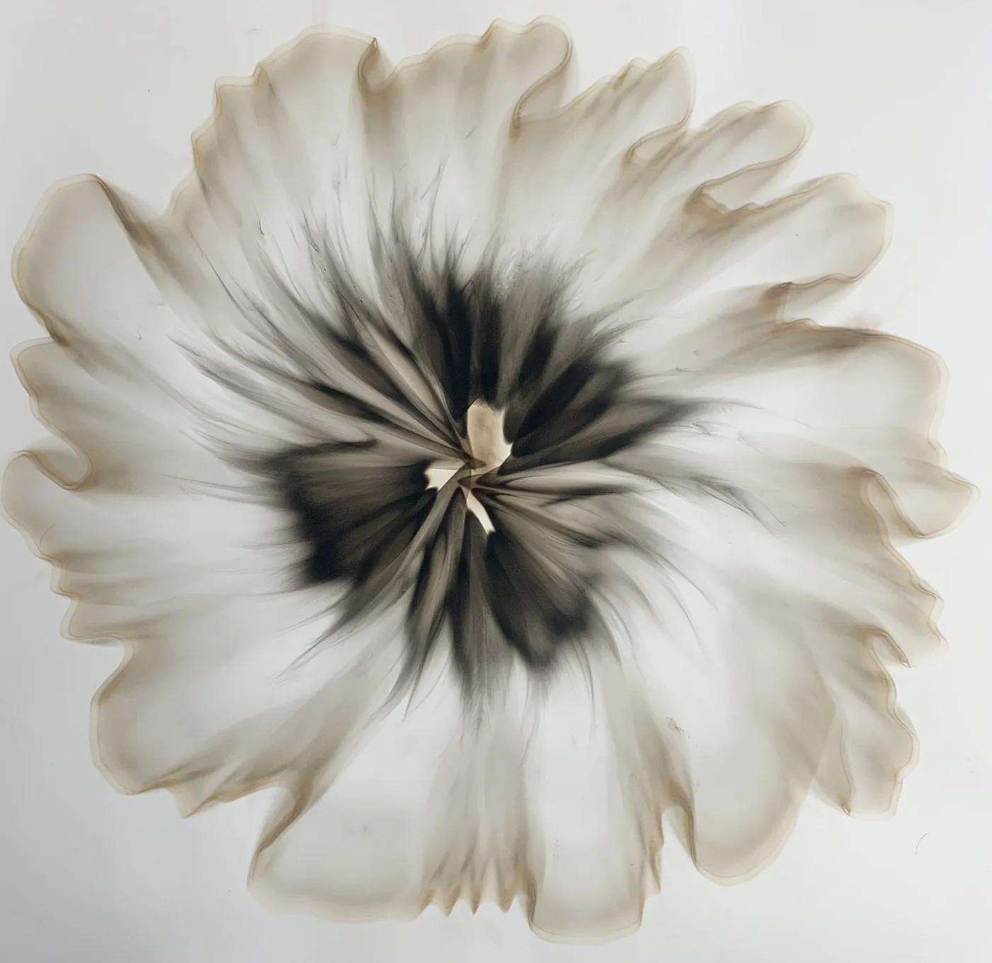 Dennis Lee MITCHELL, Untitled