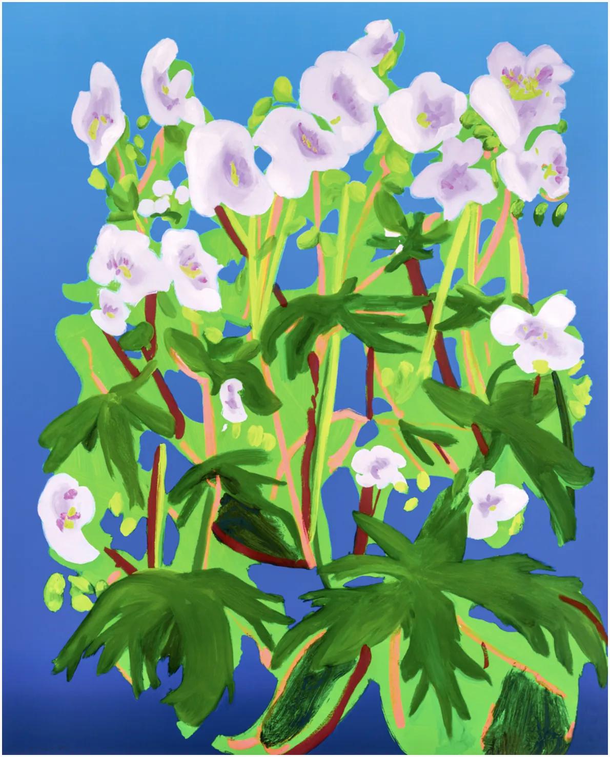 Nicole WITTENBERG, Sweet William, 1