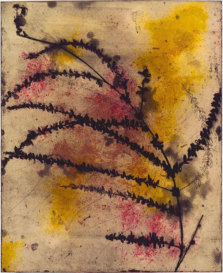 Suzi DAVIDOFF, Sumpweed