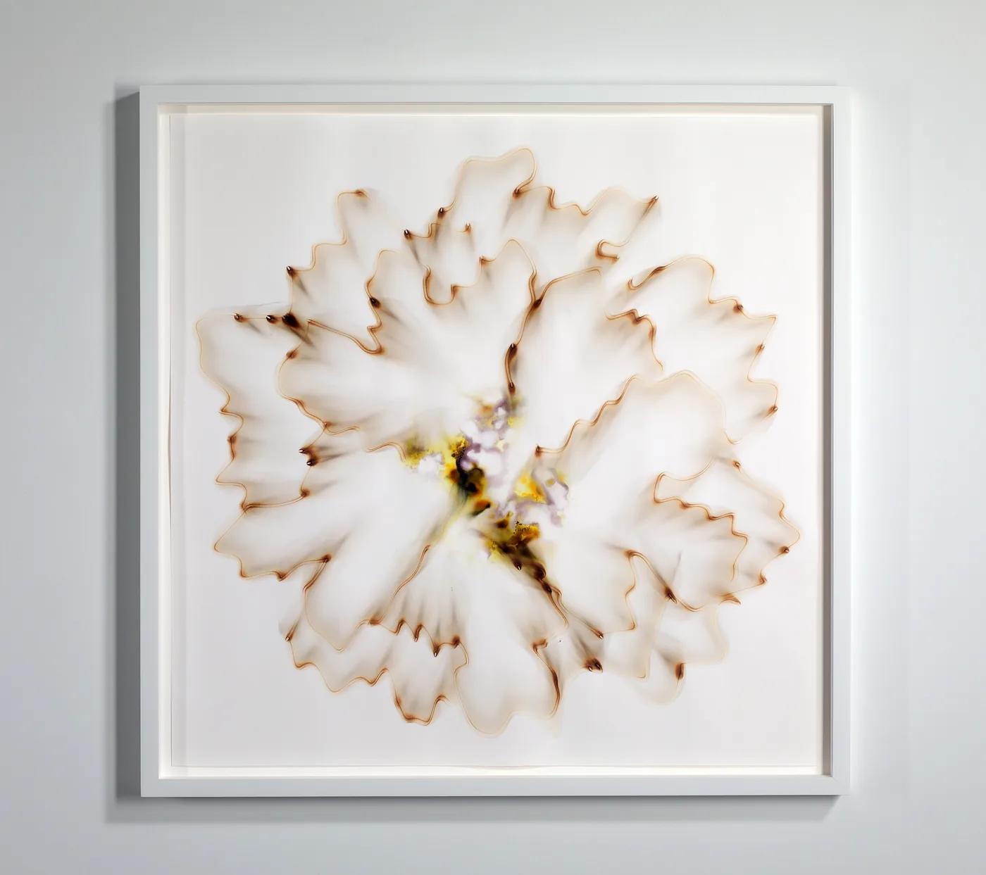 Dennis Lee MITCHELL, Diffuse