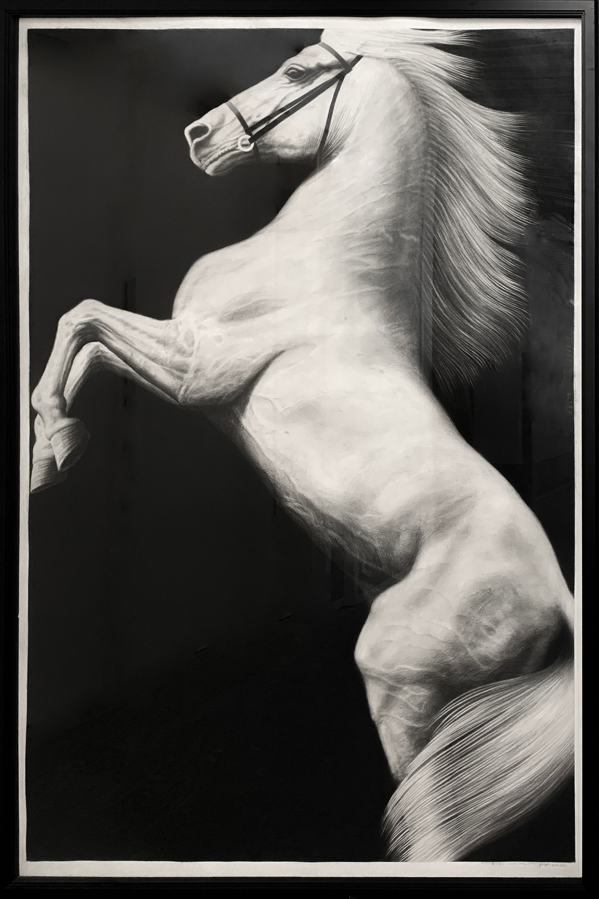 Joseph PICCILLO, Untitled