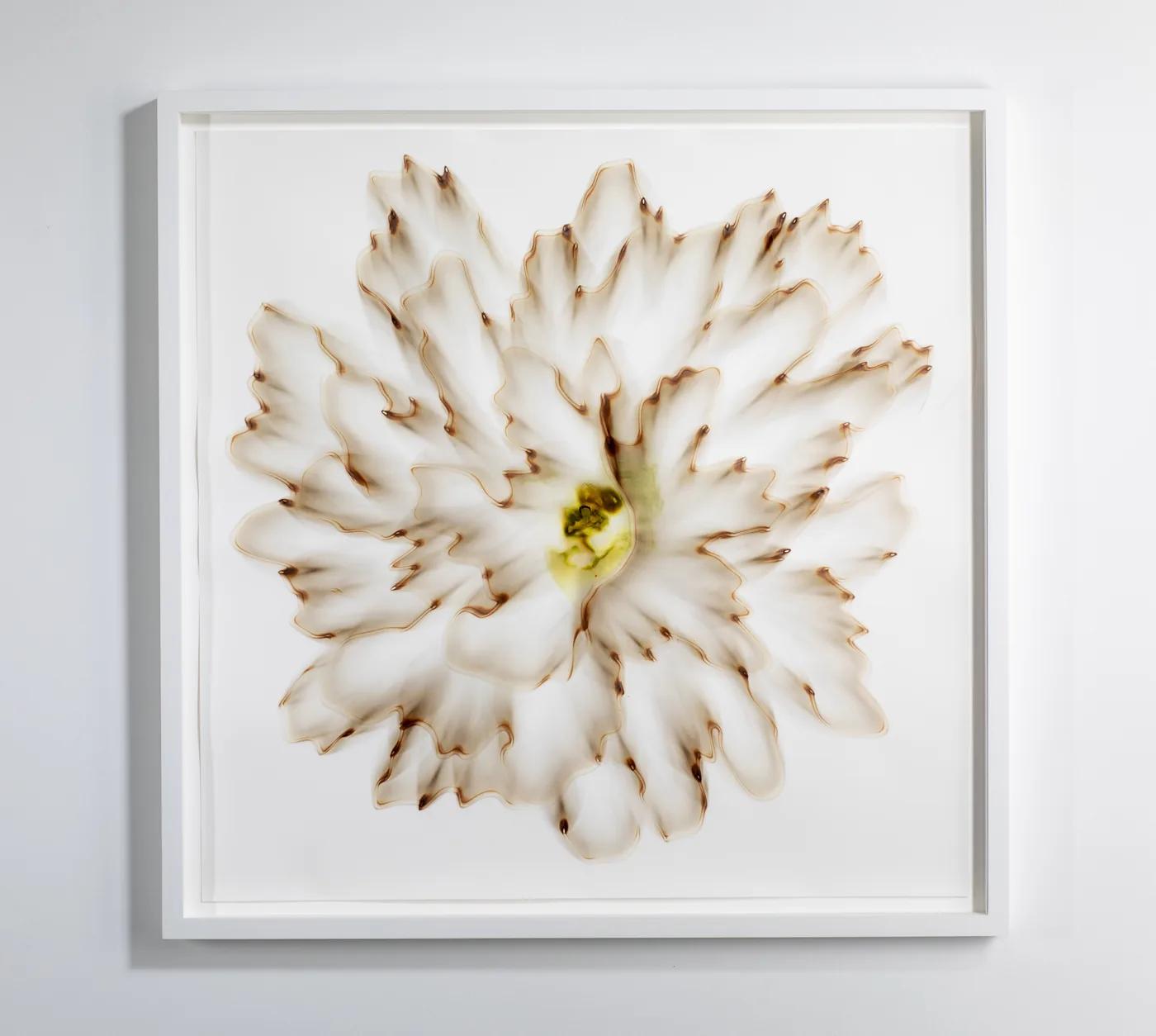 Dennis Lee MITCHELL, Untitled (92)