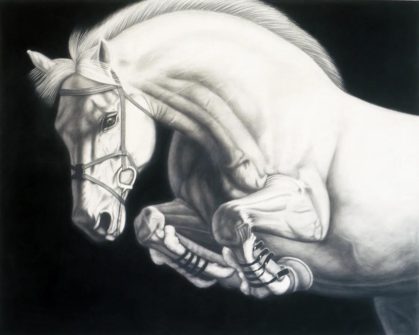 Joseph PICCILLO, Horse #10
