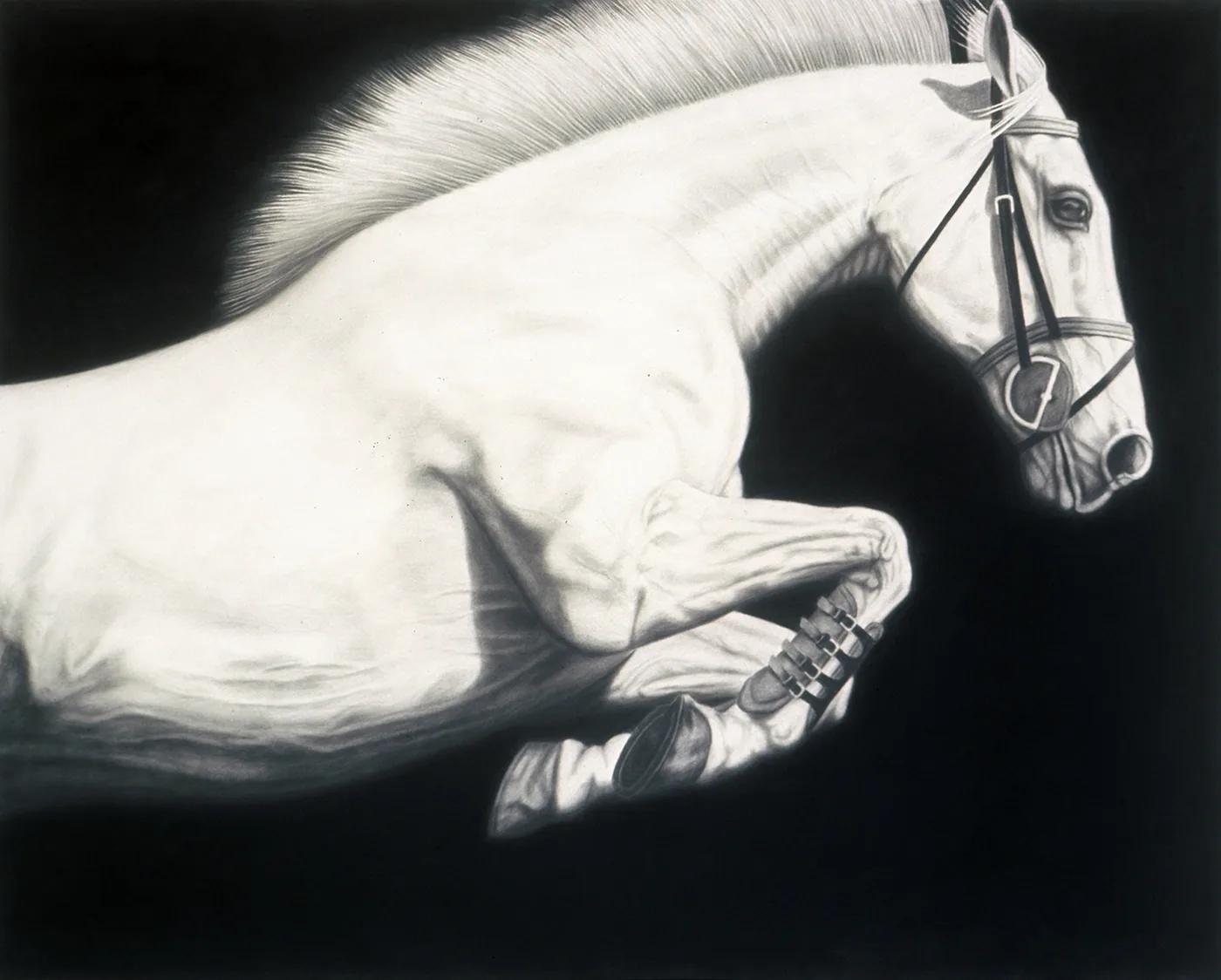 Joseph PICCILLO, Horse No. 4