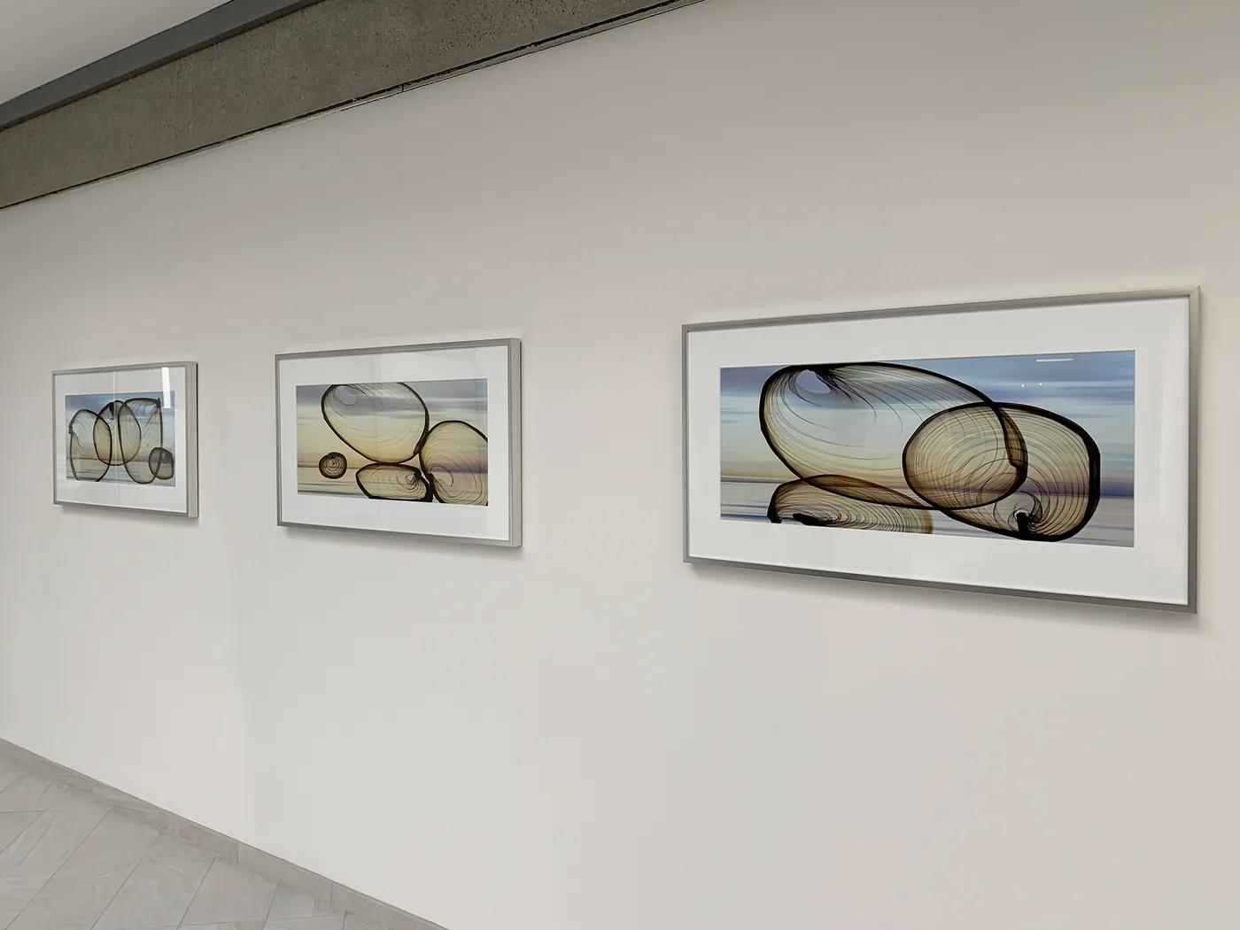 HCP Life Science — installation view