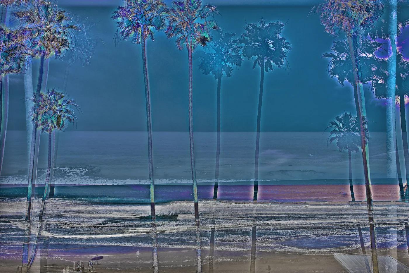 J PAXTON, La Jolla Palms 2284