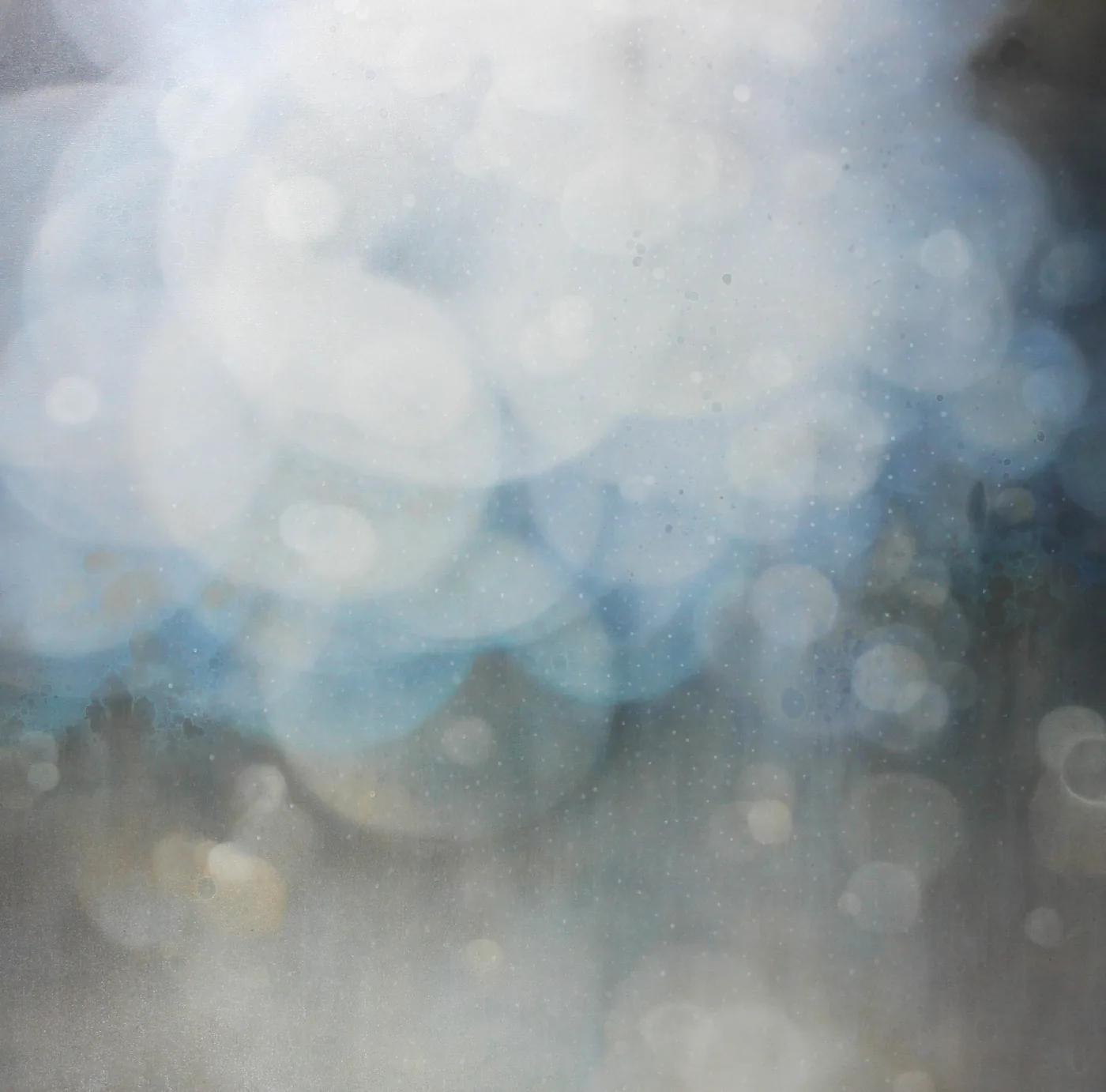 Jenn SHIFFLET, Transparency