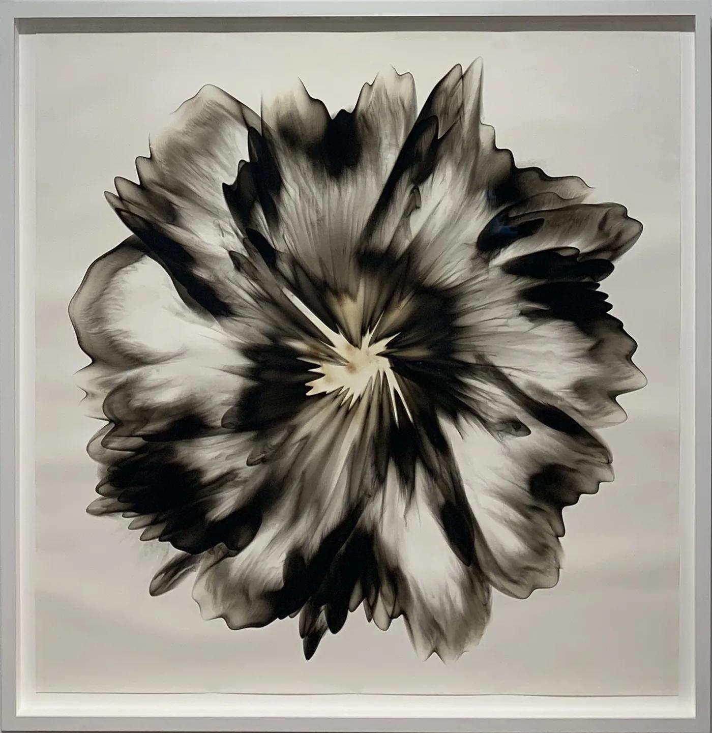 Dennis Lee MITCHELL, Untitled