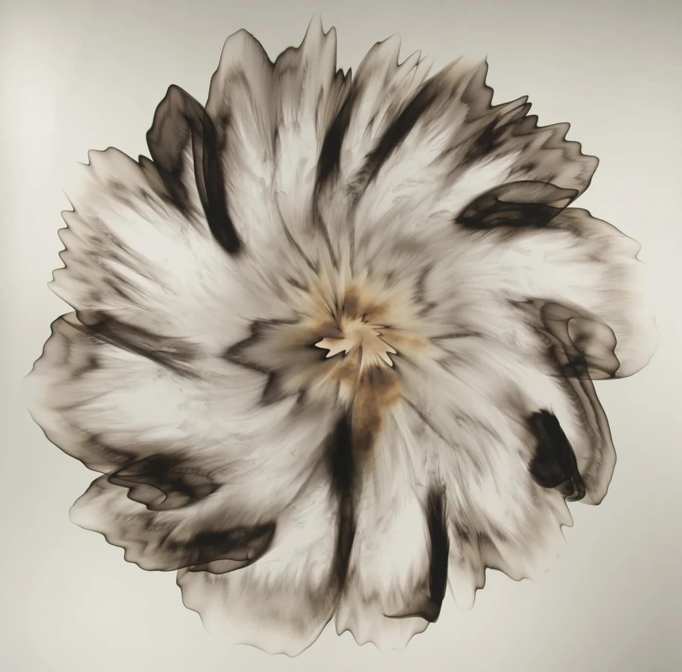 Dennis Lee MITCHELL, Untitled (33.1)
