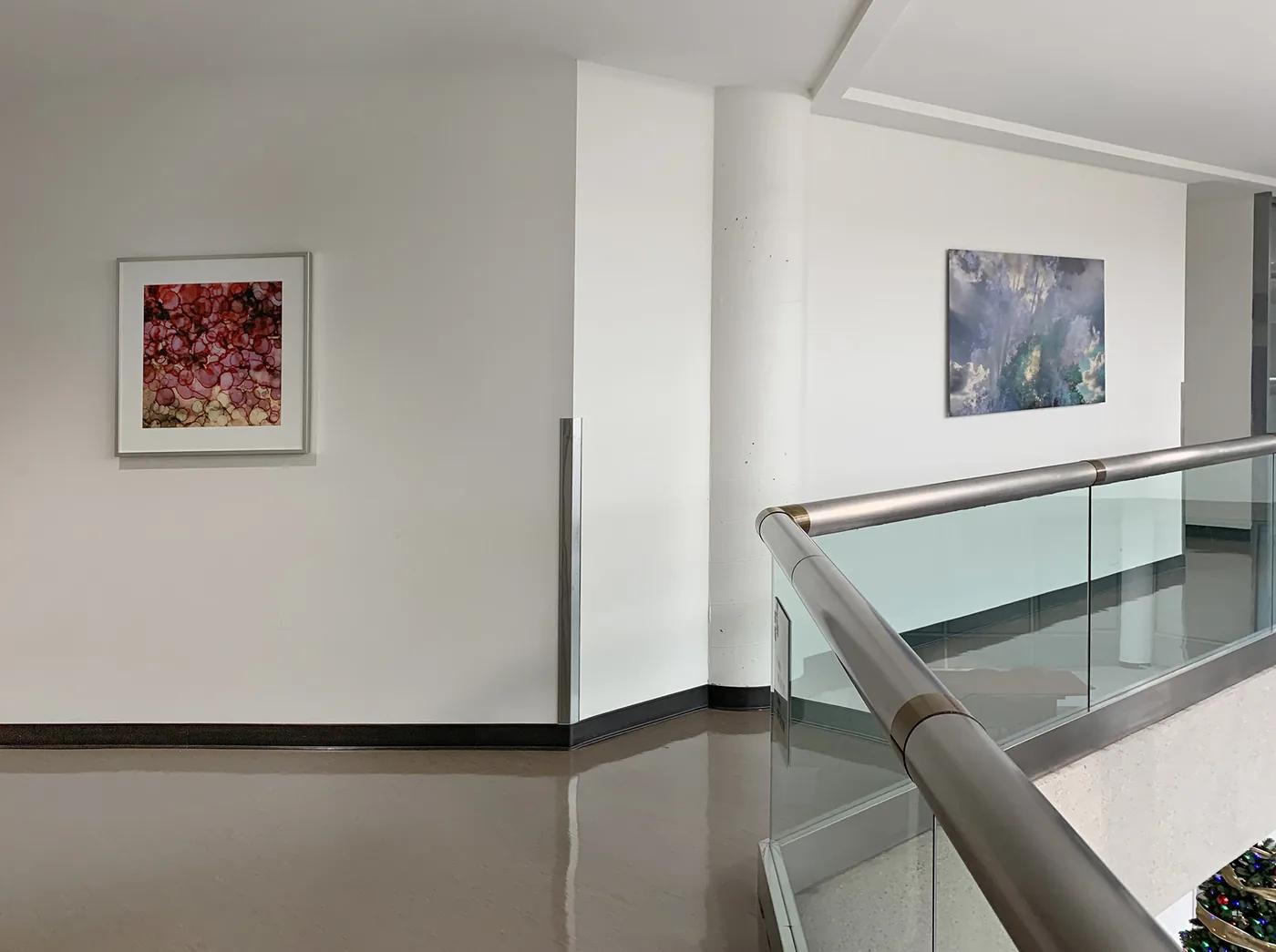 HCP Life Science — installation view