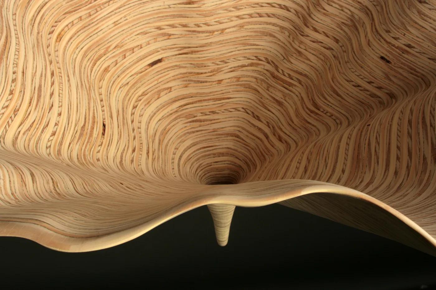 Nancy SANSOM REYNOLDS, un.furl spin (detail)
