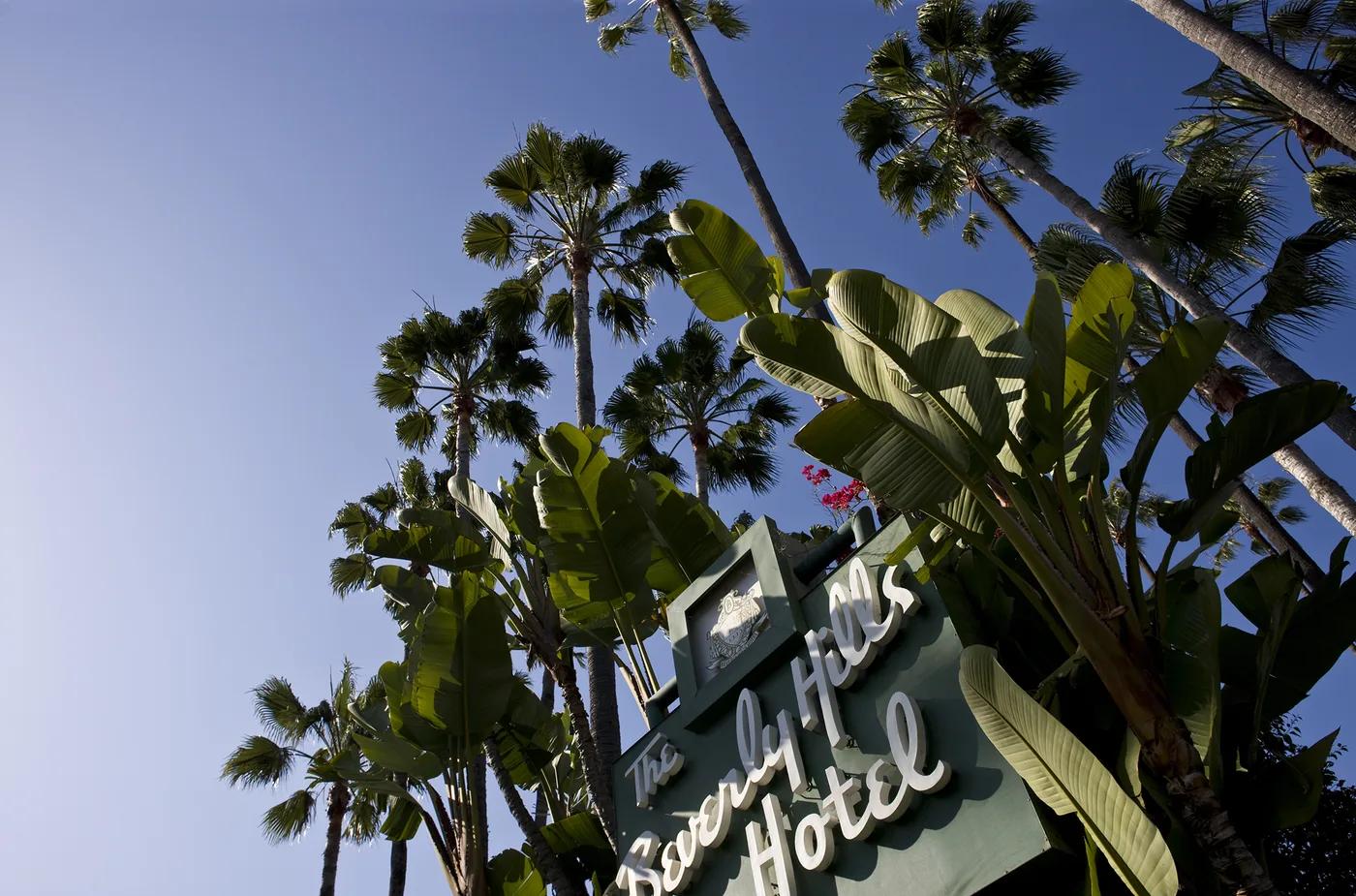 J PAXTON, Commissioned photography series of Beverly Hills, C-print mounted under acrylic Location: Beverly Hills