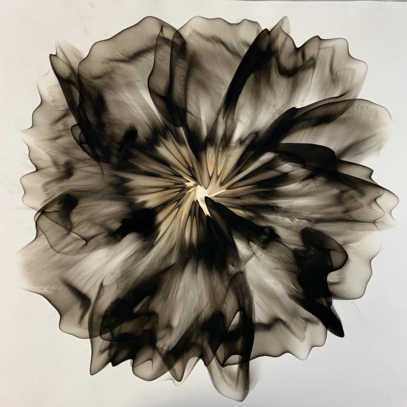 Dennis Lee MITCHELL, smoke on paper