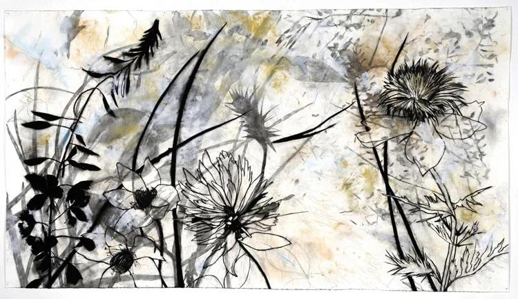 Suzi DAVIDOFF, Highline Trail