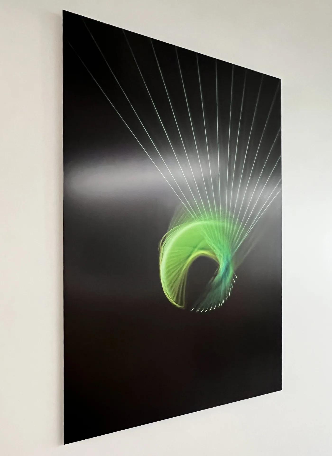 Biotech Headquarters — installation view