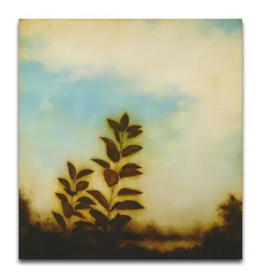 Brad DURHAM, Changing Memory