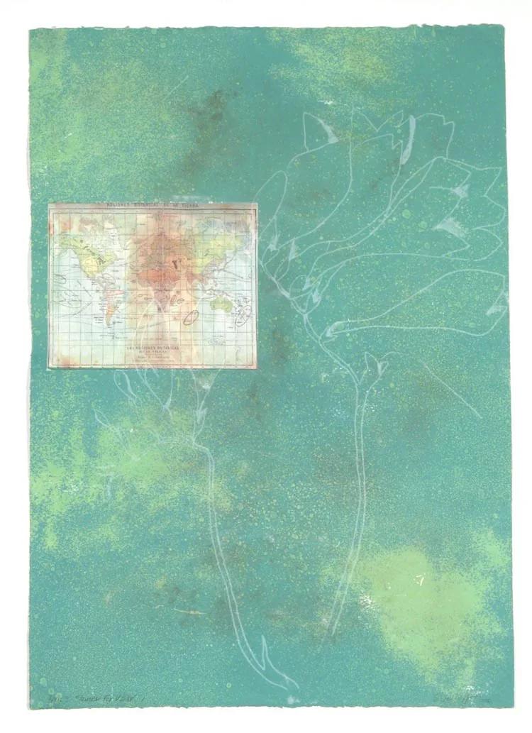 Suzi DAVIDOFF, Flowers for VSW 2