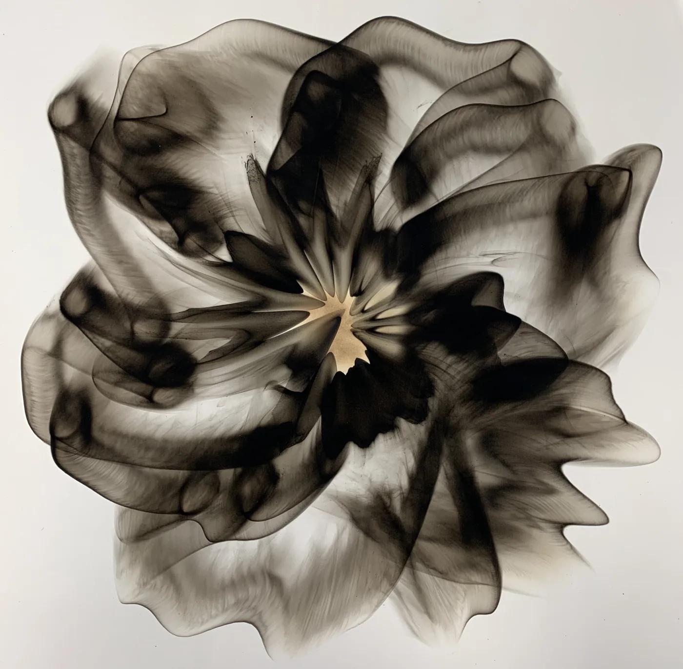 Dennis Lee MITCHELL, smoke on paper
