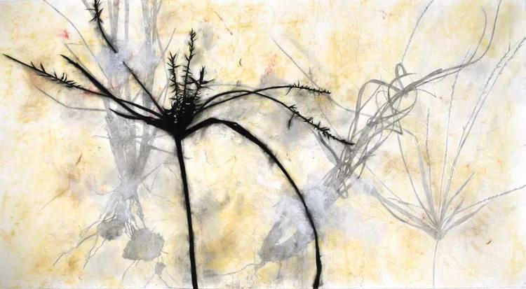Suzi DAVIDOFF, Madera Canyon