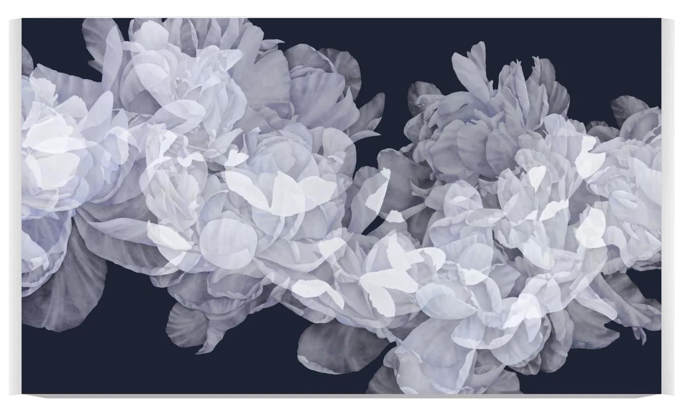 Greg MURR, Transitory