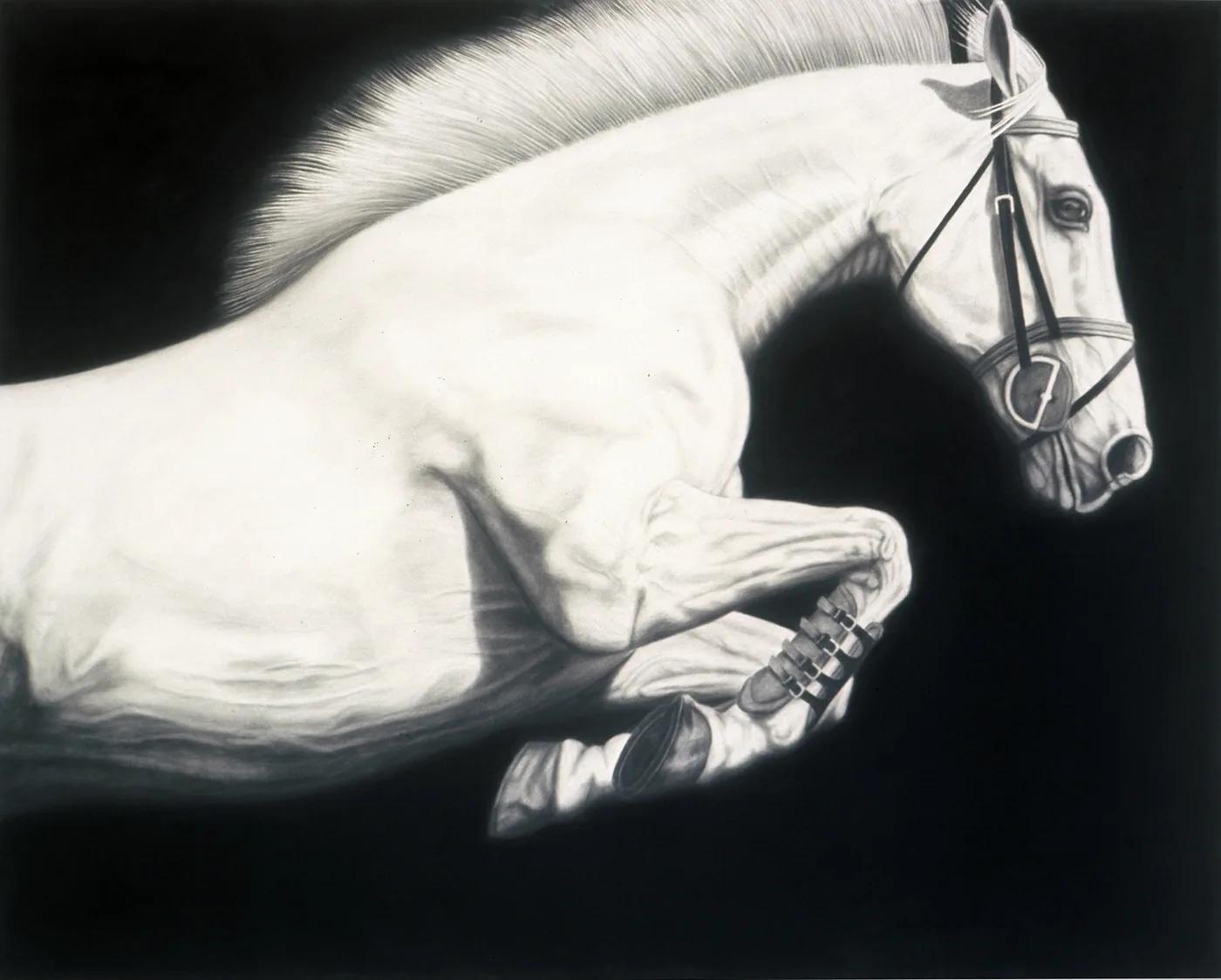 Joseph PICCILLO, Horse #13