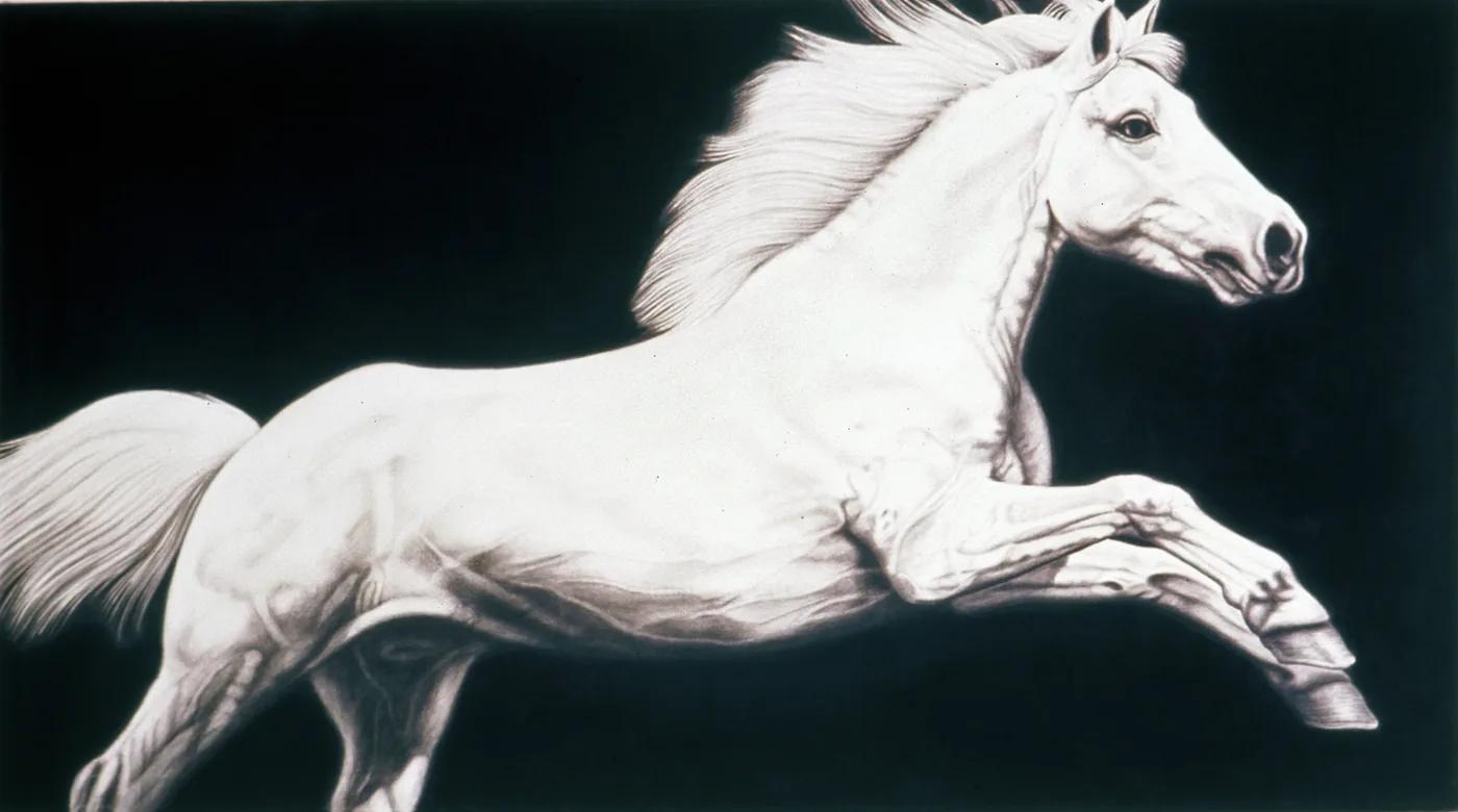Joseph PICCILLO, Horse #2