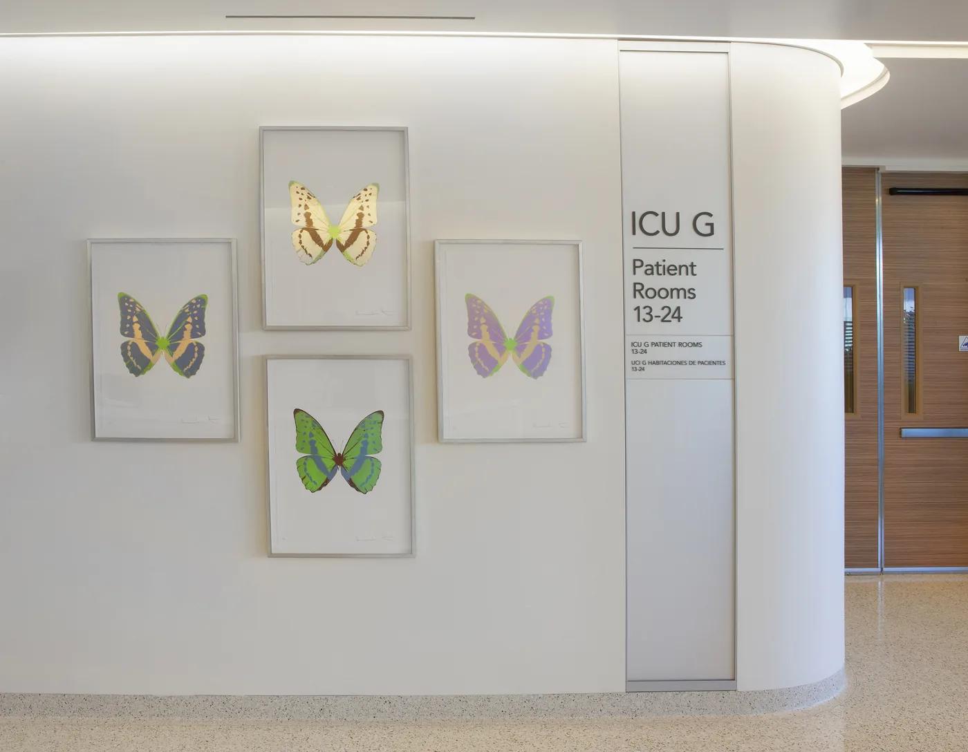 Damien HIRST, Souls Series