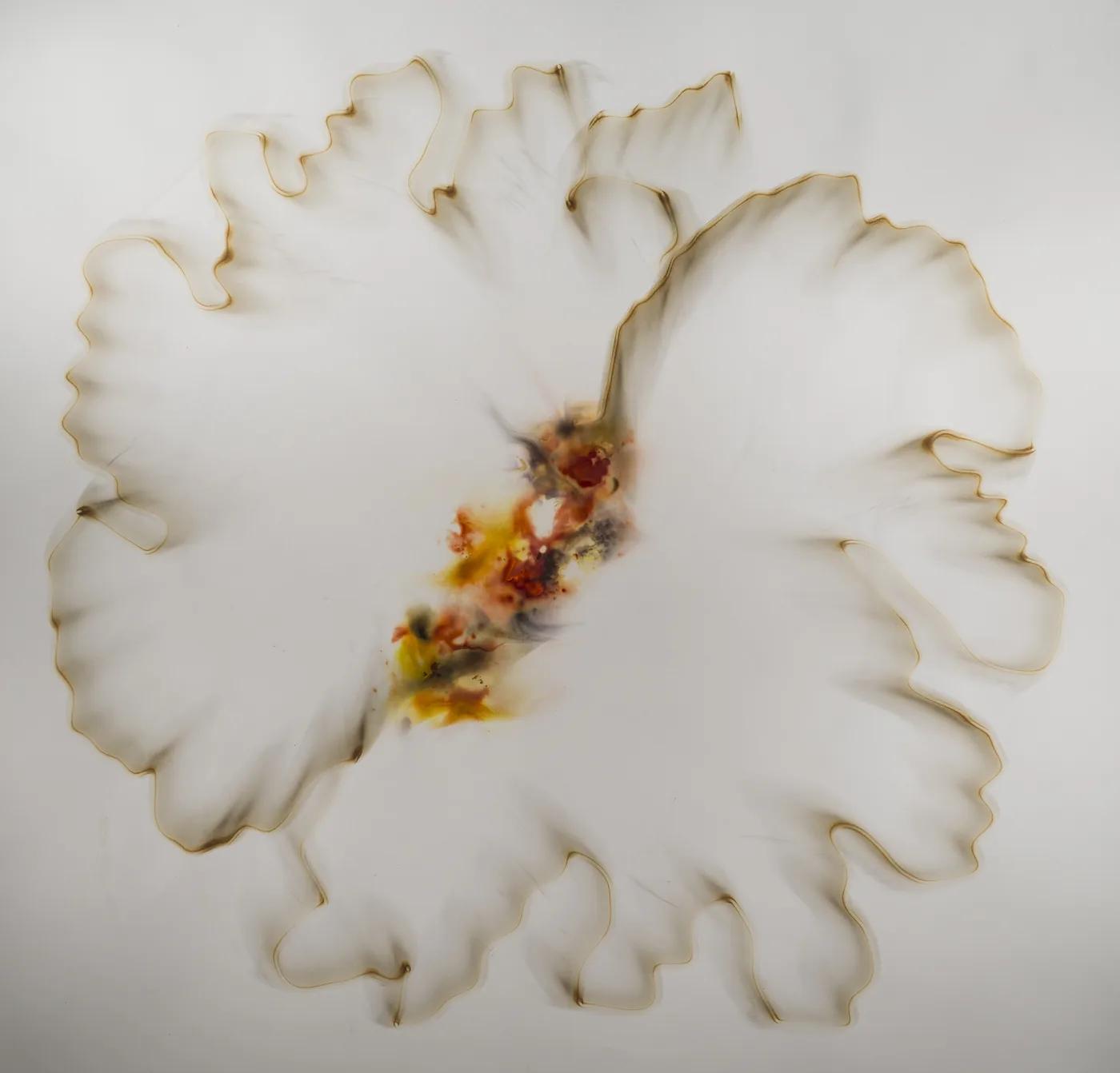 Dennis Lee MITCHELL, Untitled (29)