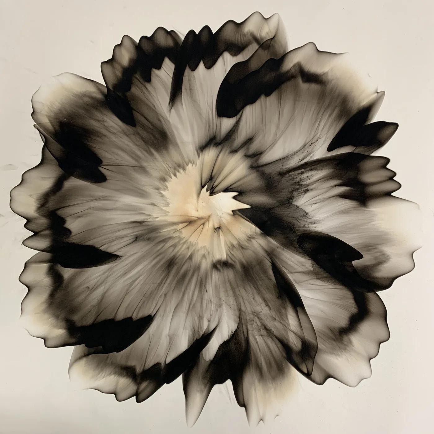 Dennis Lee MITCHELL, Untitled