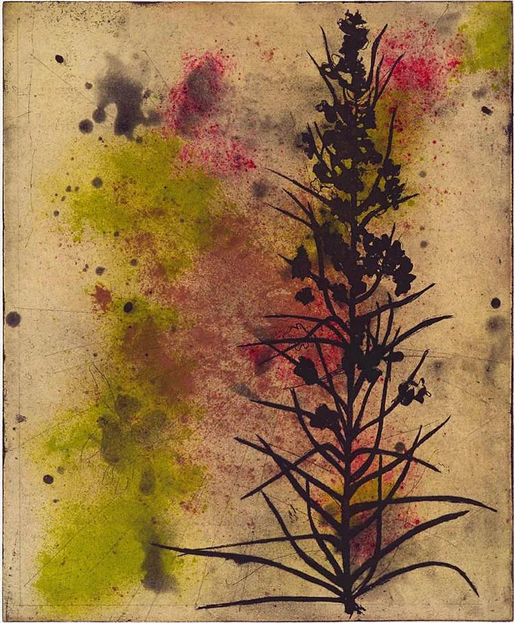 Suzi DAVIDOFF, Warlove