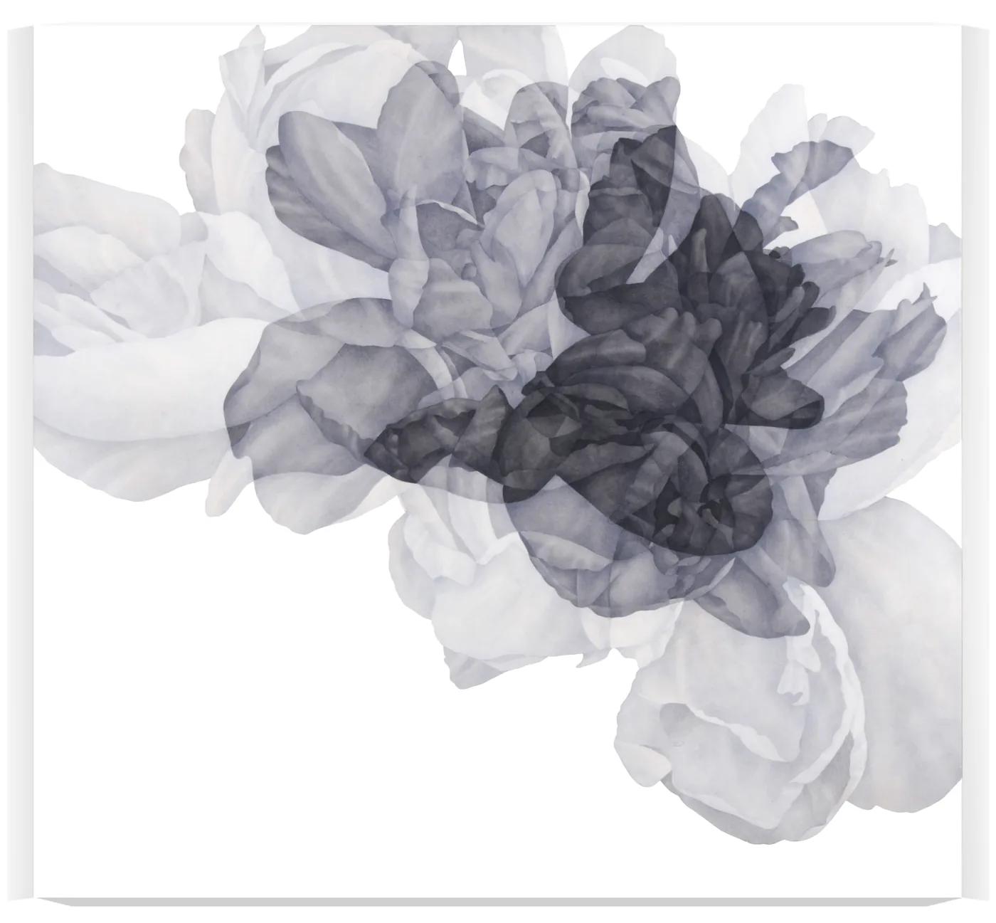 Greg MURR, Nascence [study 455]