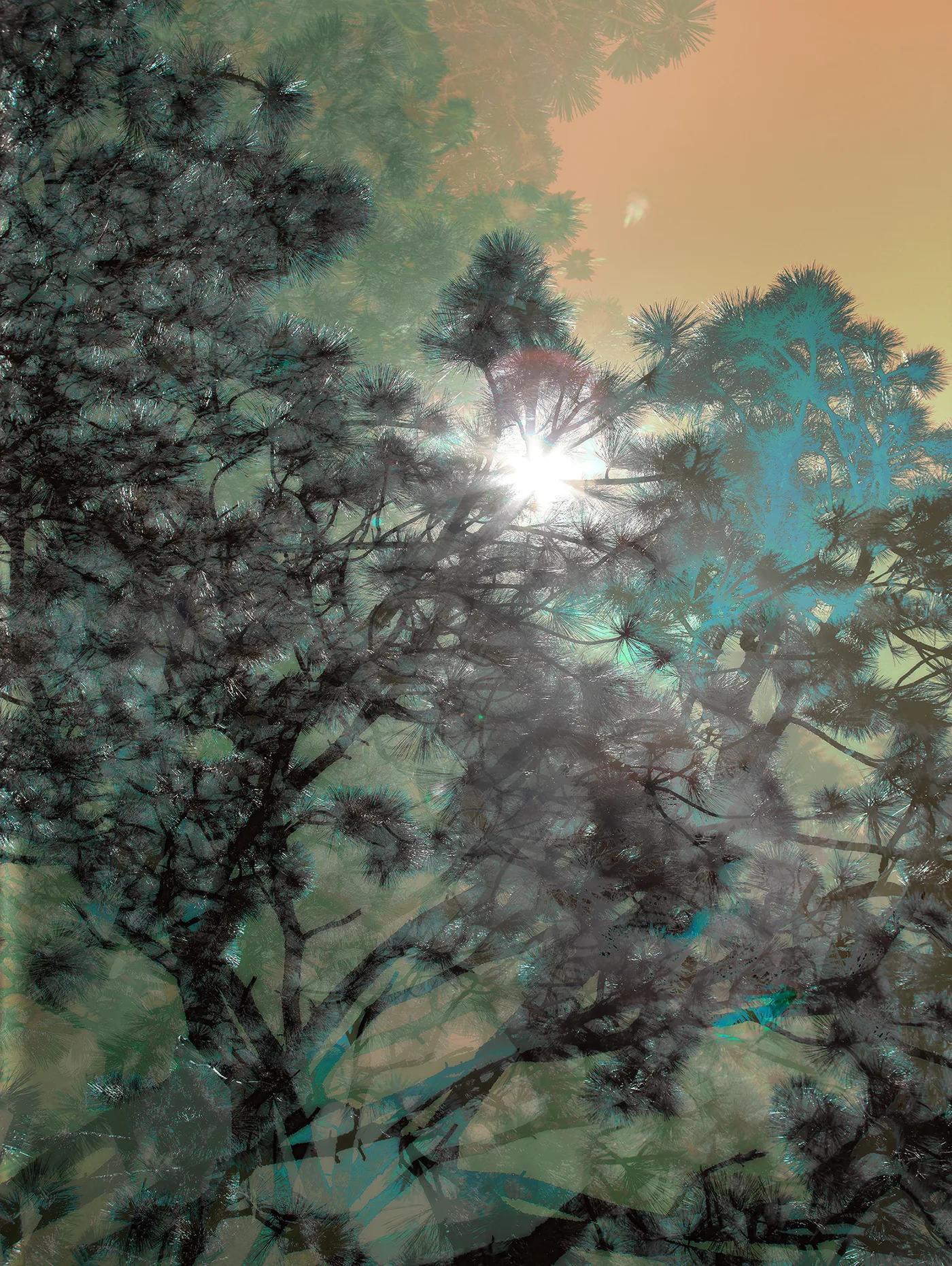 J PAXTON, Torrey Pines 2077