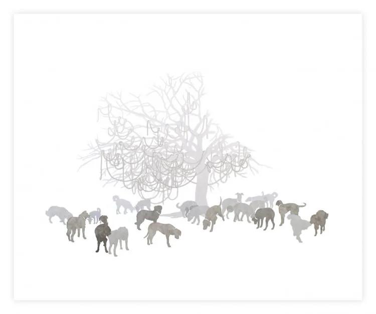 Greg MURR, The Usual Politics (Nature)