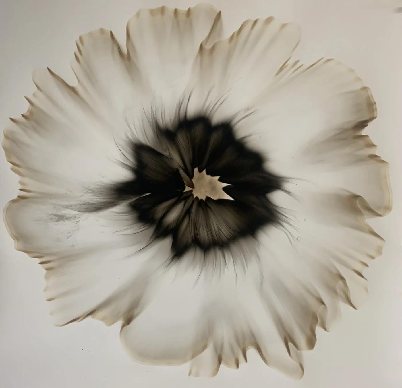 Dennis Lee MITCHELL, Untitled