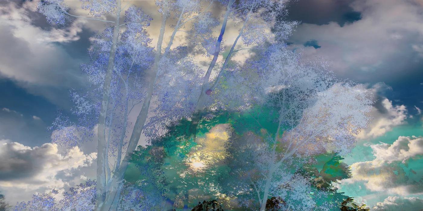 J PAXTON, Blue Eucalyptus