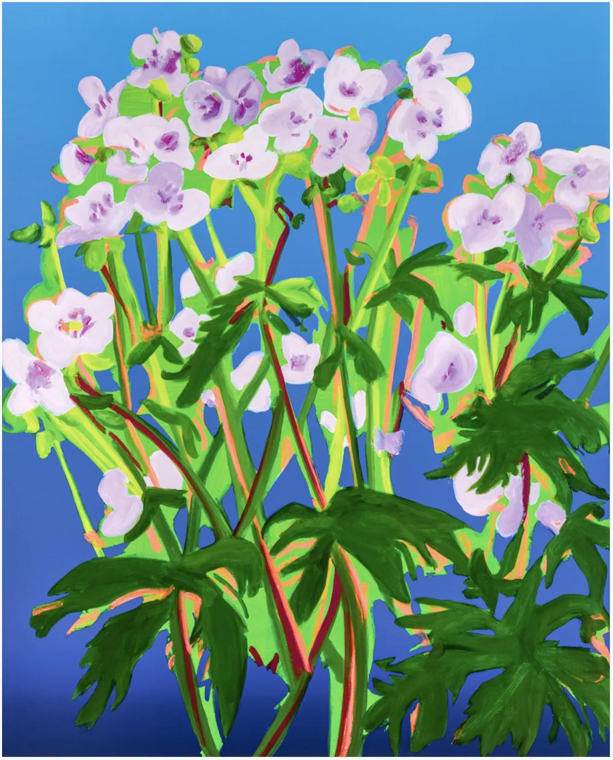 Nicole WITTENBERG, Sweet William, 2