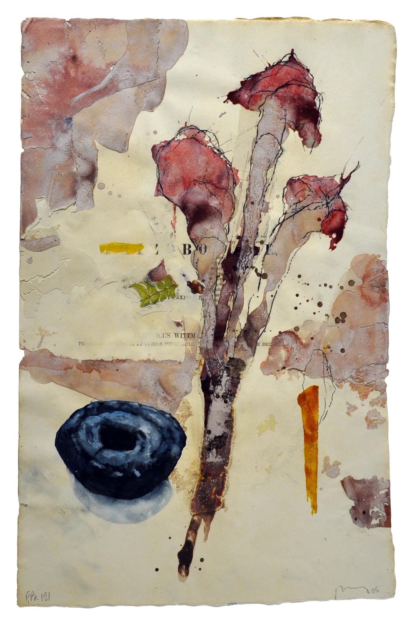 Bob NUGENT, Flora Brasiliensis #121