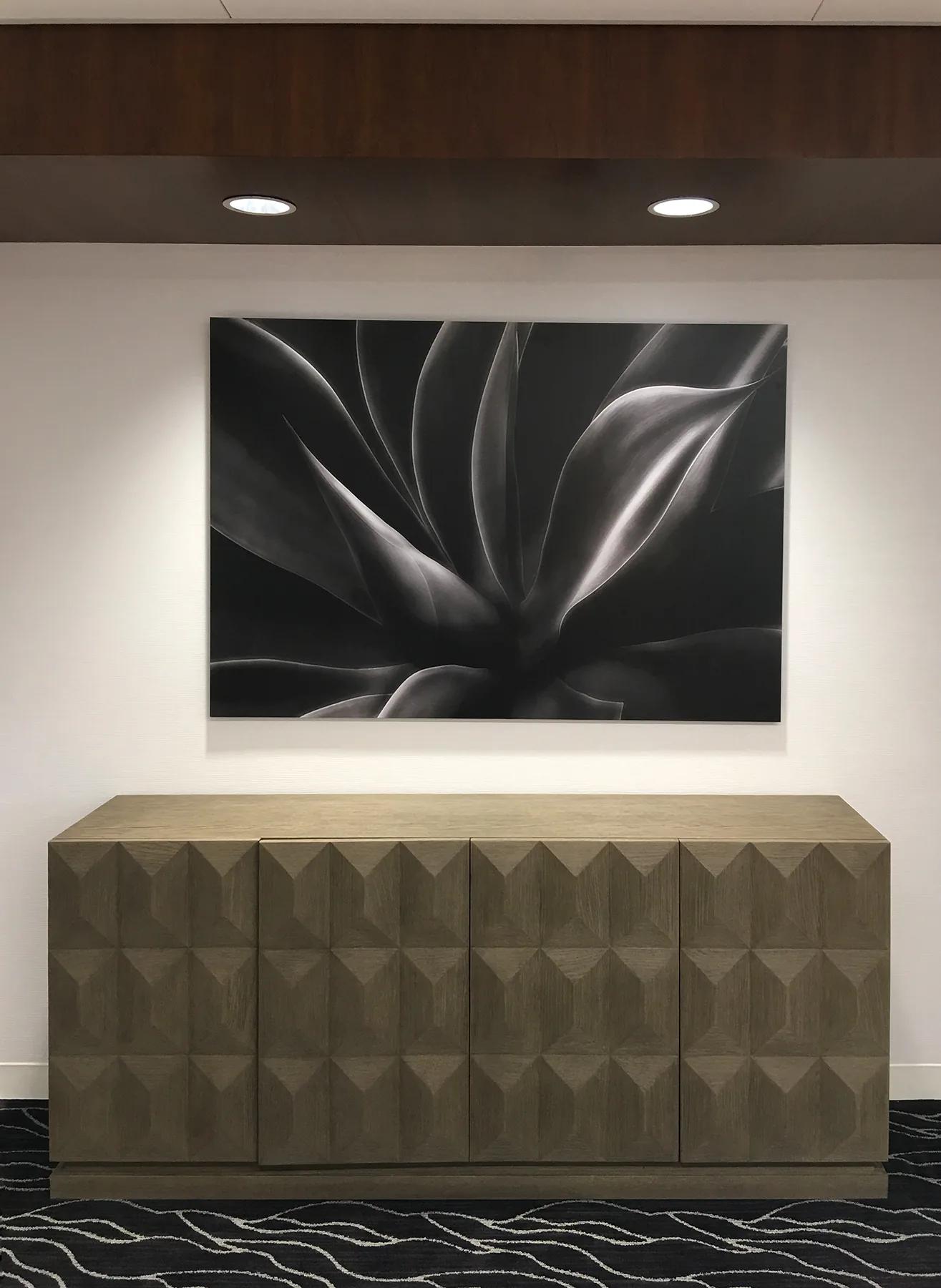 Ralph NELSON, Ghost Agave