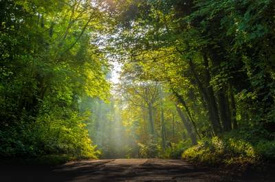 © Bureau 121
        2025