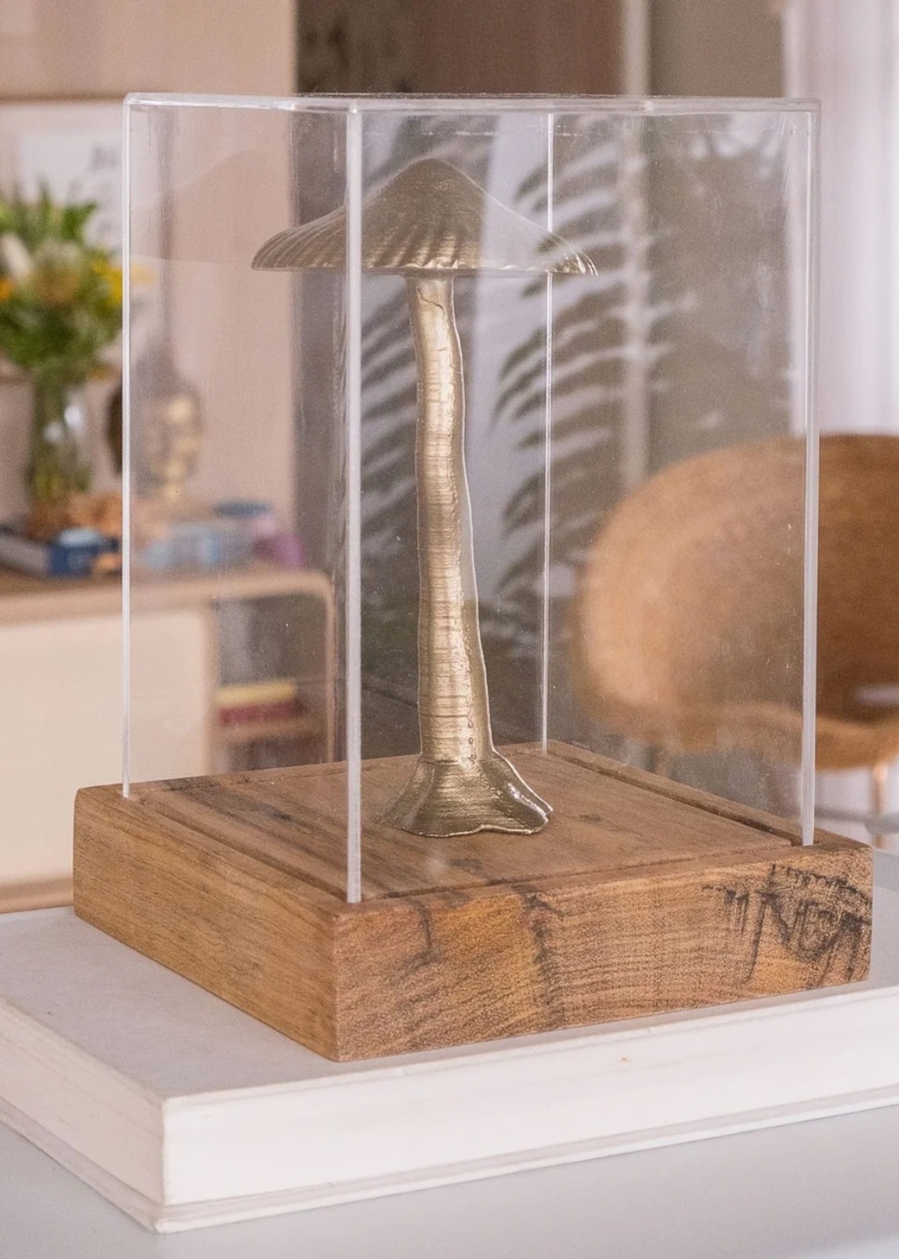 Magic Grow Box Escultura 3