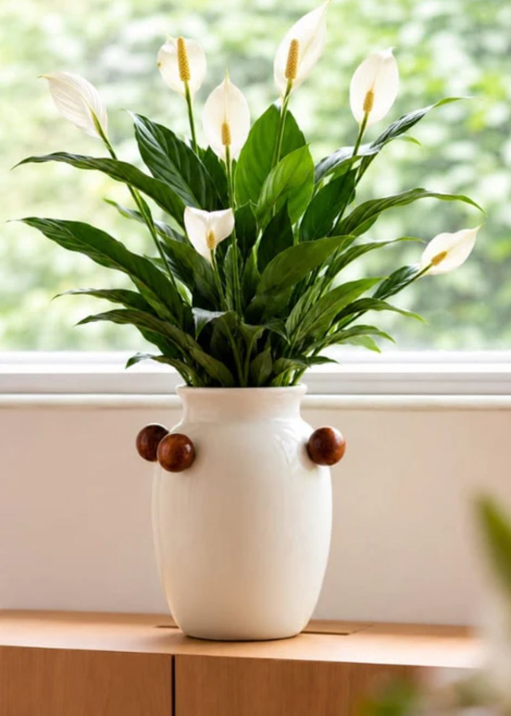 Vaso Cerâmica Natural Ágatas 19cm