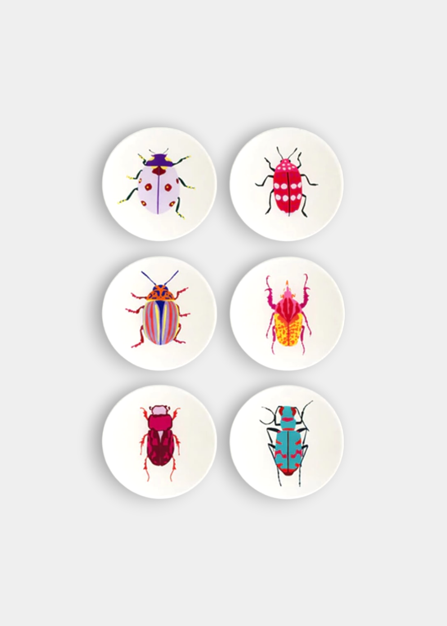 Set Porta Copos Besouro 