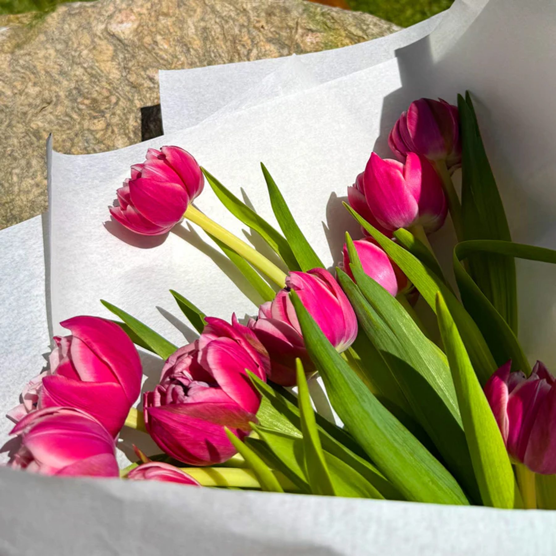 Buquê tulipas 4