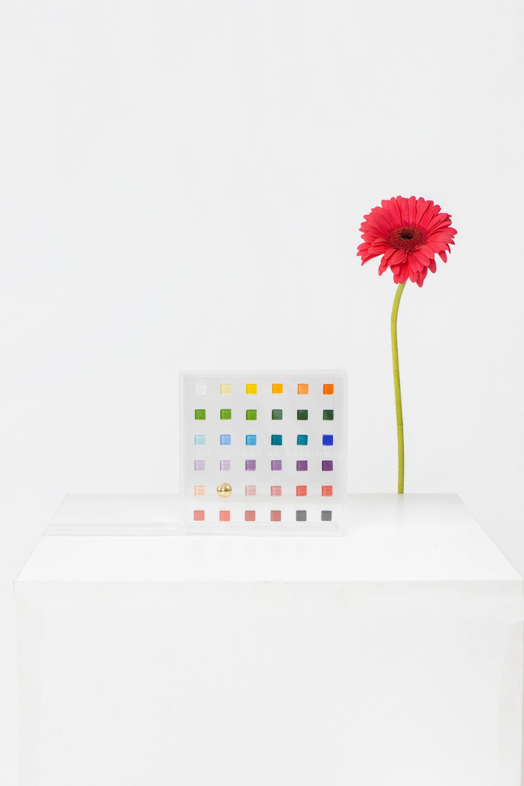 Há Mundos No Detalhe 2